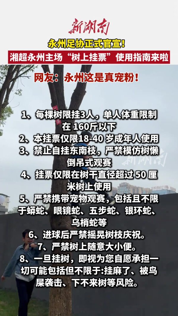 “湘超”永州出台“树上挂票”指南！每棵树限挂3人+承担鸟屎风